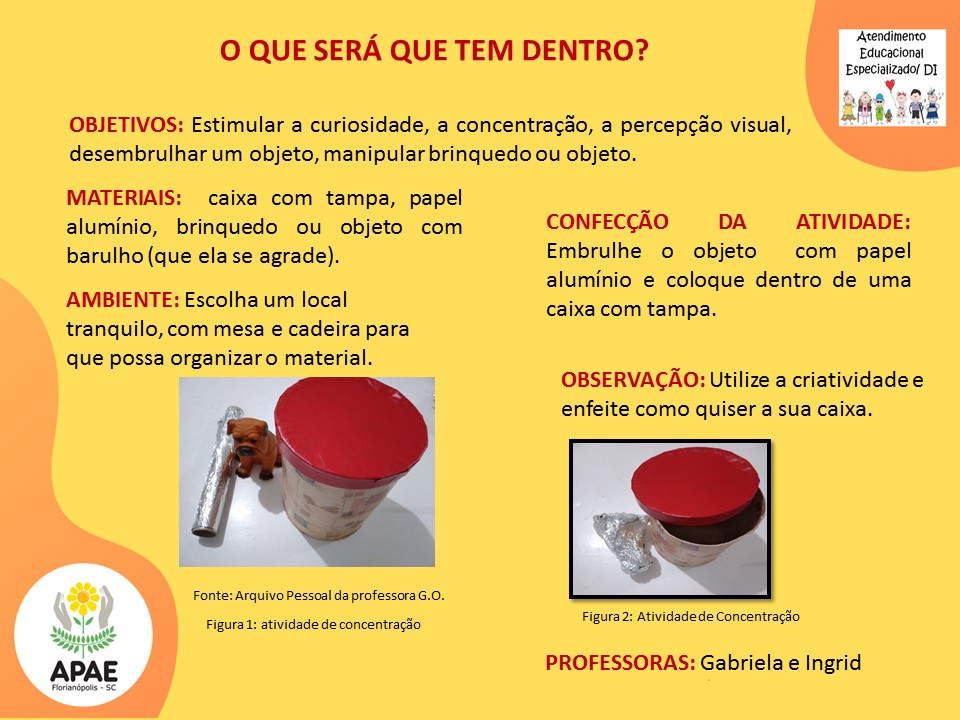 Estimulação Precoce 1 - O Que Será Que Tem Dentro