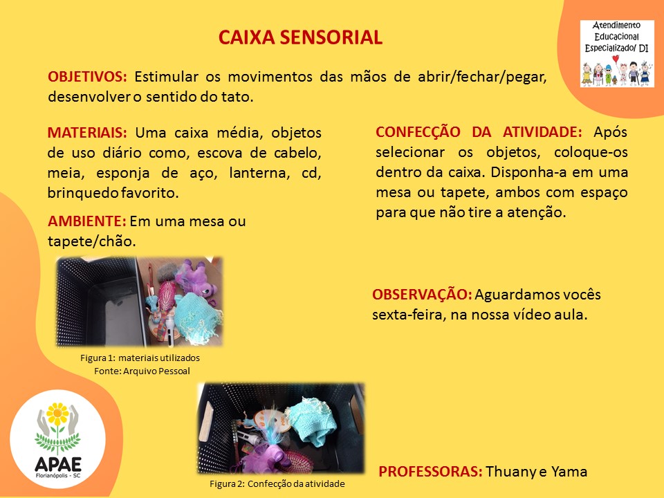 Estimulação Precoce 2 - Caixa Sensorial