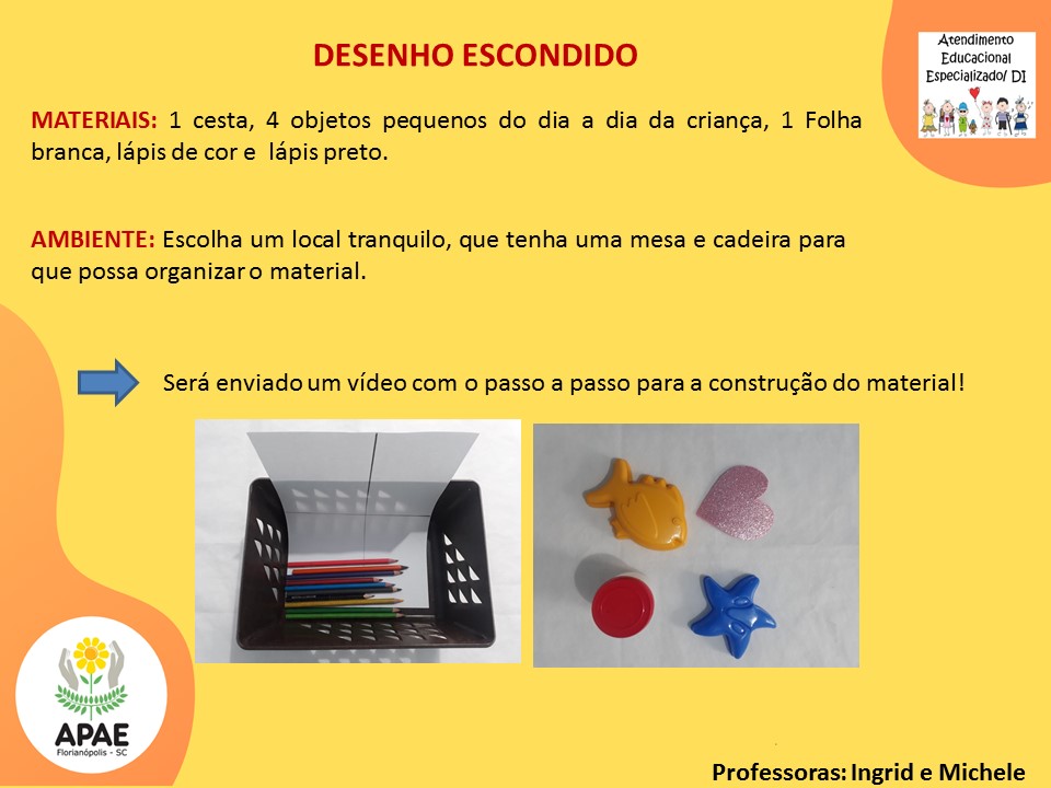 Atendimento Educacional Especializado - Desenho Escondido