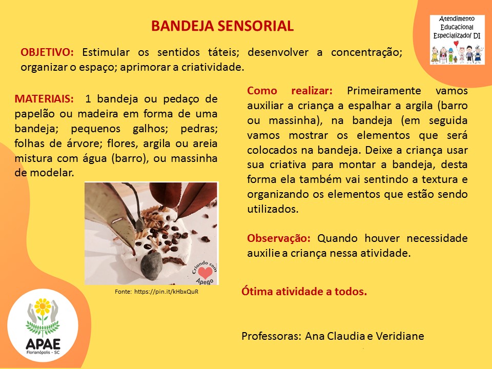 Atendimento Educacional Especializado - Bandeja Sensorial