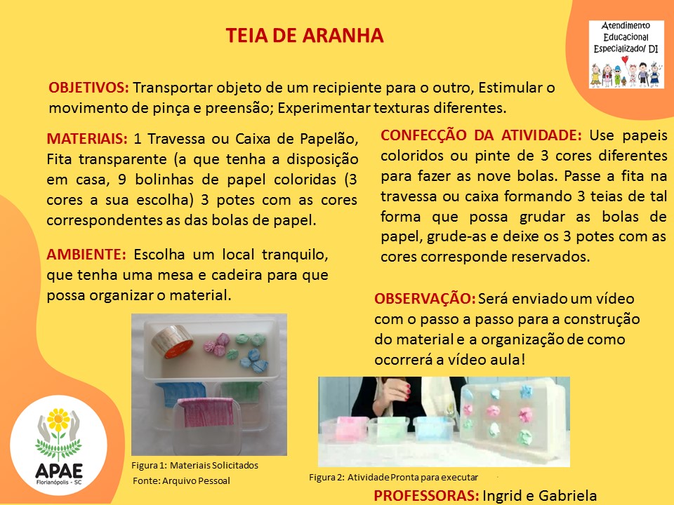 Estimulação Precoce 1 - Teia de Aranha