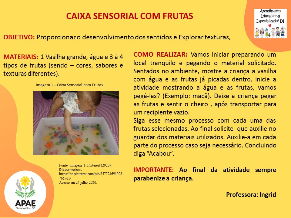 Estimulação Precoce 1 - Caixa Sensorial com Frutas