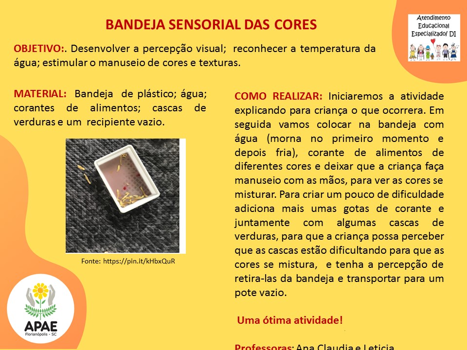 Estimulação Precoce 2 - Bandeja Sensorial das Cores