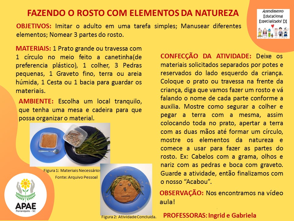Estimulação Precoce 1 - Fazendo o Rosto com Elementos da Natureza