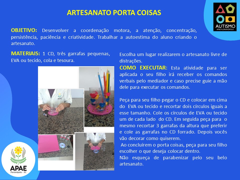 Artesanato - Porta Coisas - SAE - TEA