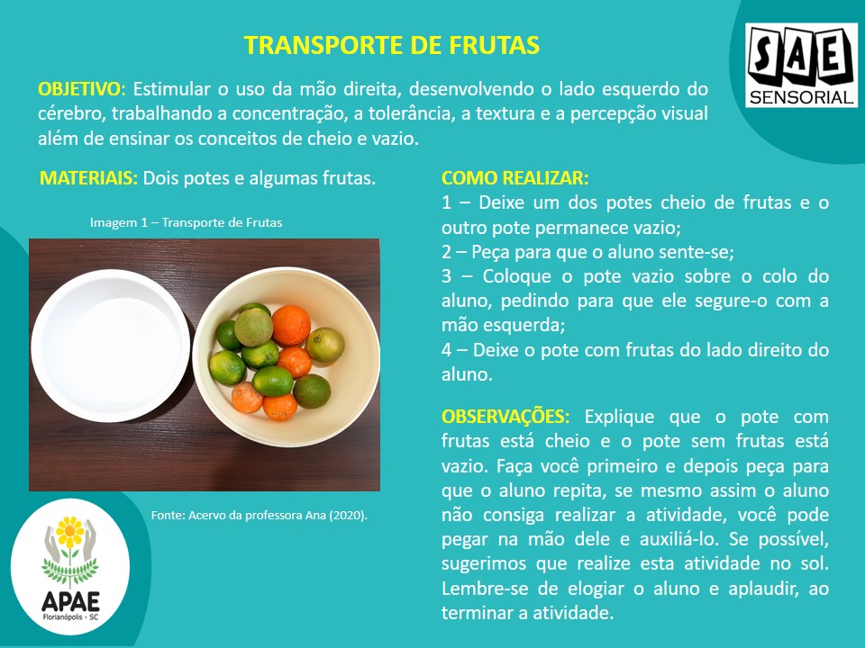 Transporte de Frutas - SAE Sensorial